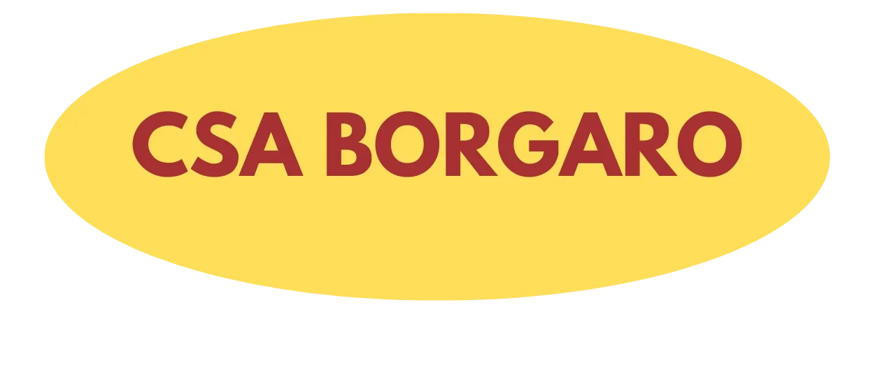 CSA Borgaro